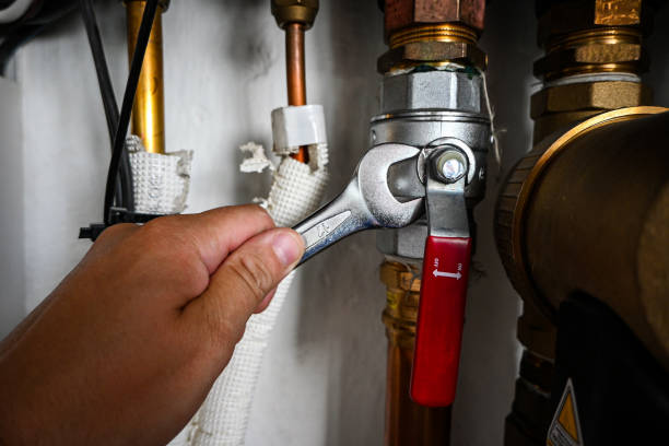 Best Toilet Repair Services  in Lake Stickney, WA